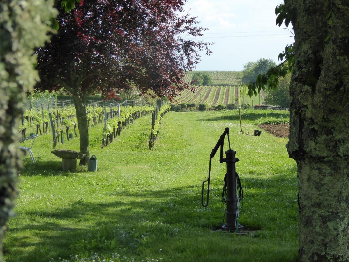 La Vigneraie De Laura: Gite Entre Vignes Et Chenes Sainte-Colombe  Zewnętrze zdjęcie